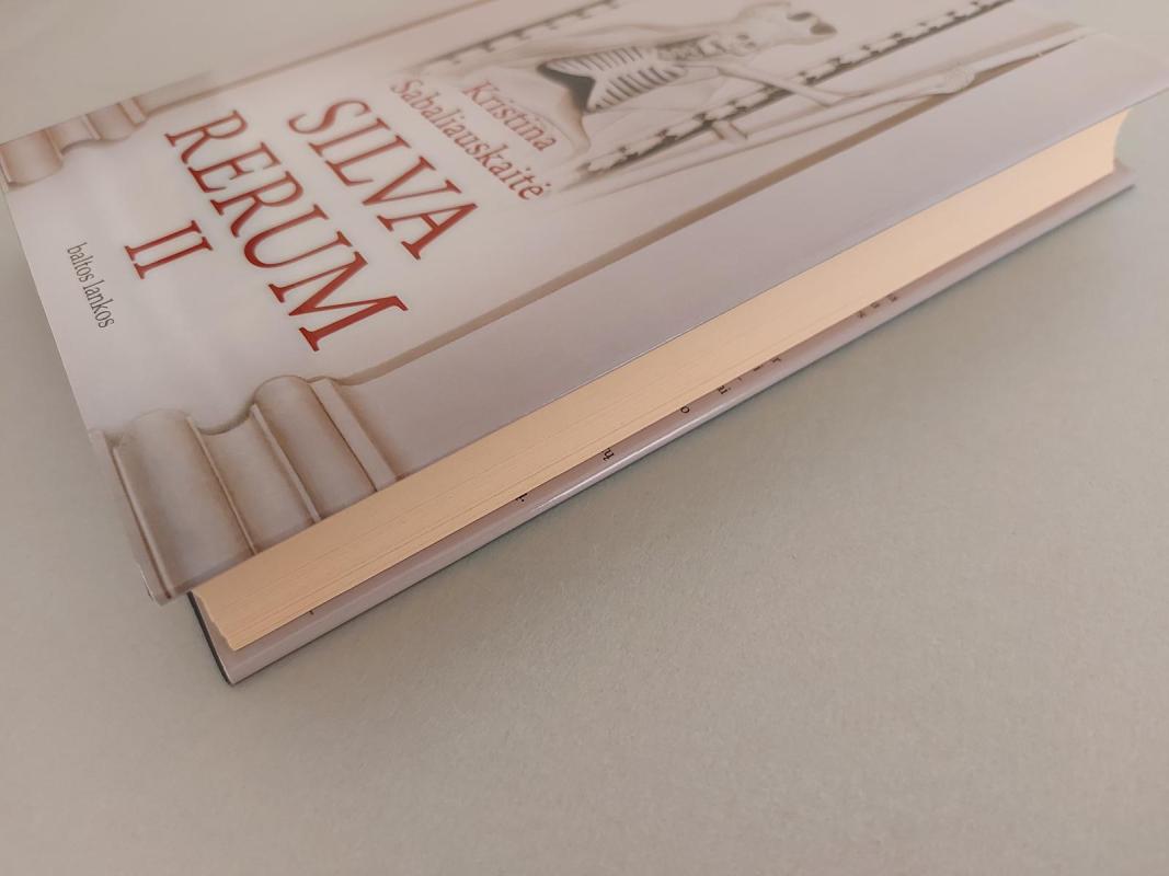 Silva Rerum II - Sabaliauskaitė Kristina, knyga 3