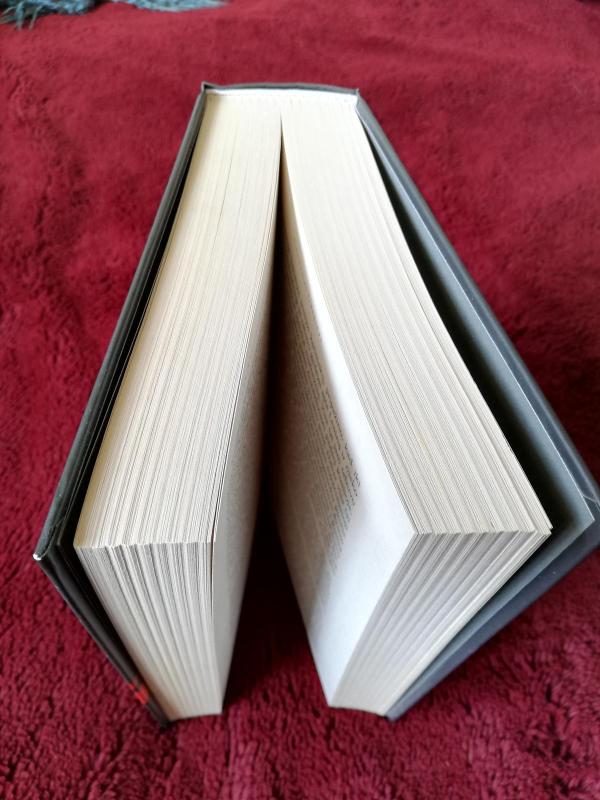 Leninas. Intymus diktatoriaus portretas - Victor Sebestyen, knyga 3