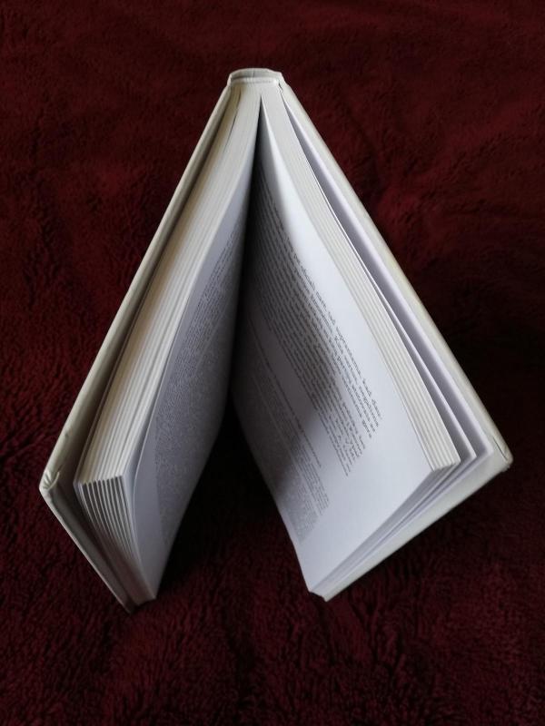 Seserys - Ingrida Jakubavičienė, knyga 4