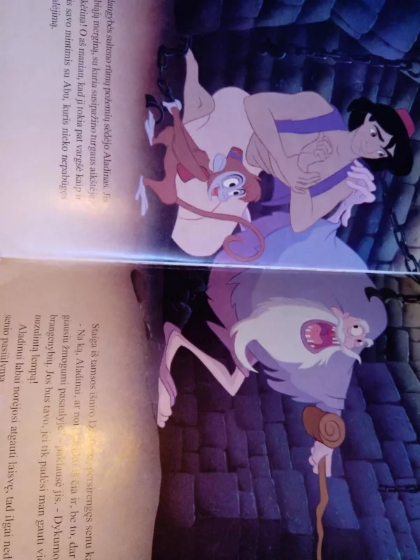 Aladinas - Walt Disney, knyga 3