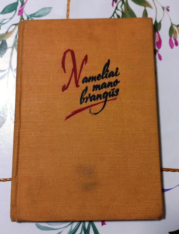 Nameliai mano brangūs - Teofilis Tilvytis, knyga 3