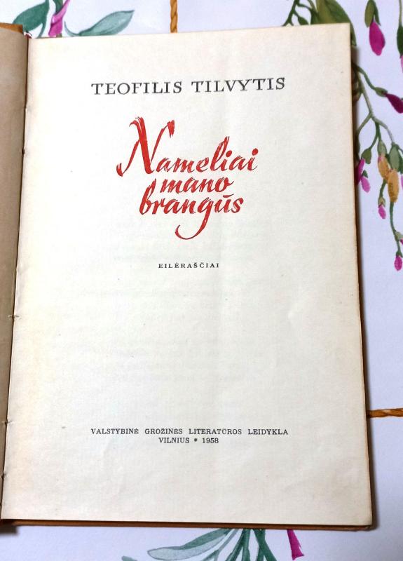 Nameliai mano brangūs - Teofilis Tilvytis, knyga 2