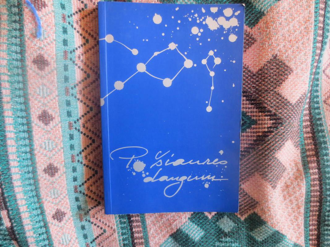 Po šiaurės dangum. Europos literatūros dienų Šiauliuose 2004 tekstų almanachas - Markus Roduner, knyga 4