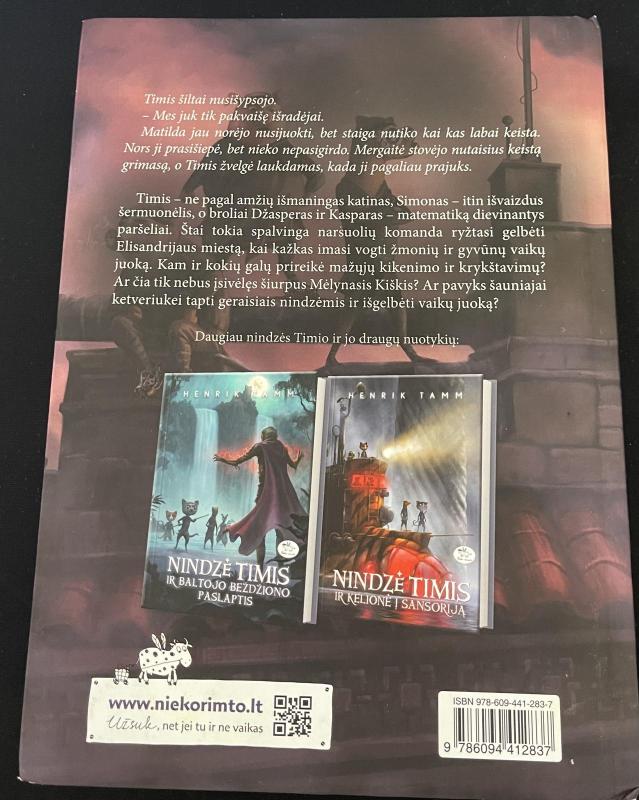 Nindzė Timis ir pagrobtas juokas - Henrik Tamm, knyga 2