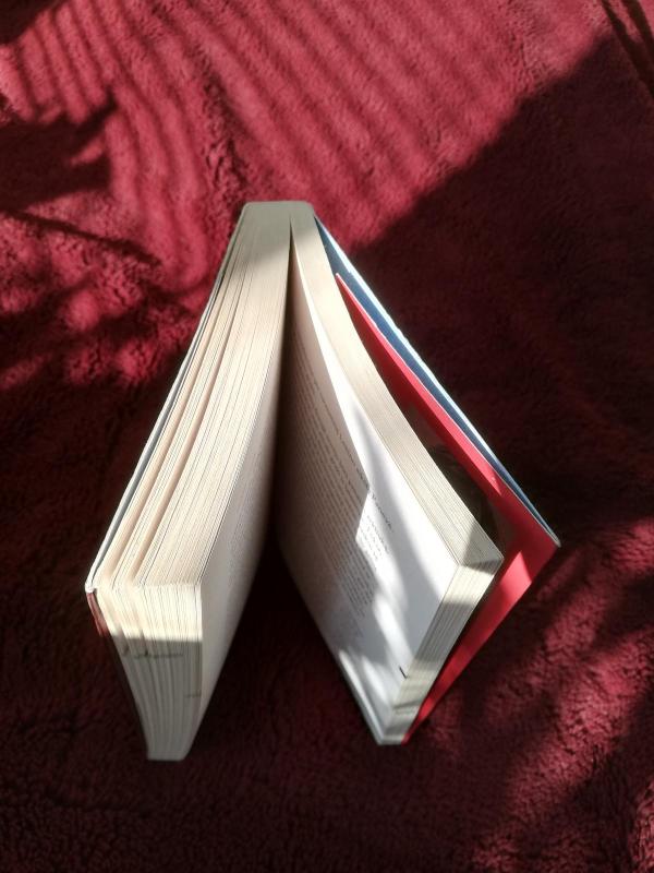 Grožio mašina - Sara Poisson, knyga 3