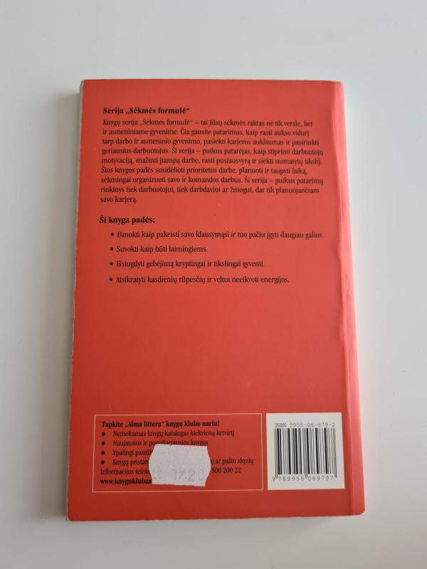 Sėkmės galia: daugiau efektyvaus gyvenimo principų - Joe Rubino, knyga 3