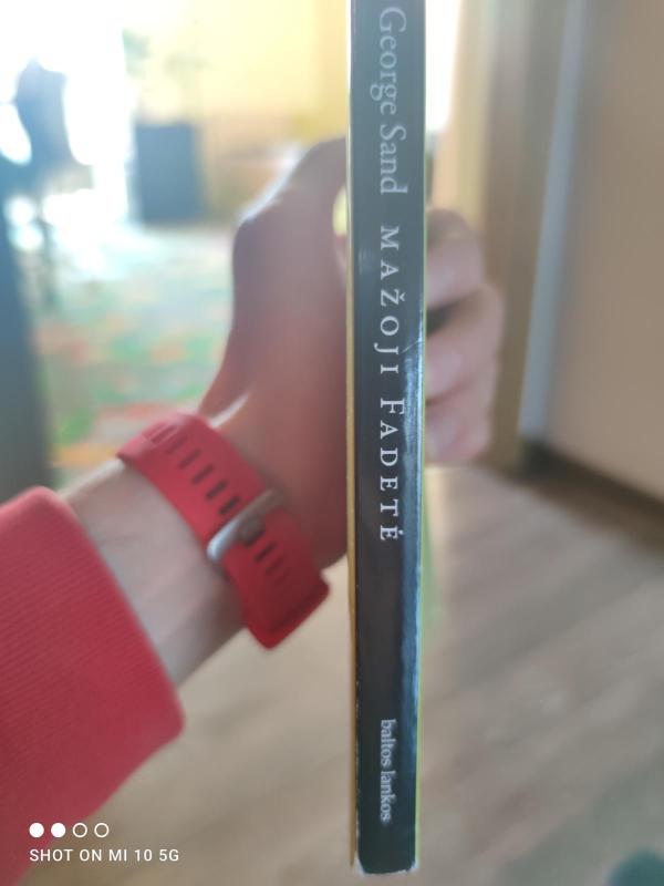 Mažoji Fadetė - George Sand, knyga 4