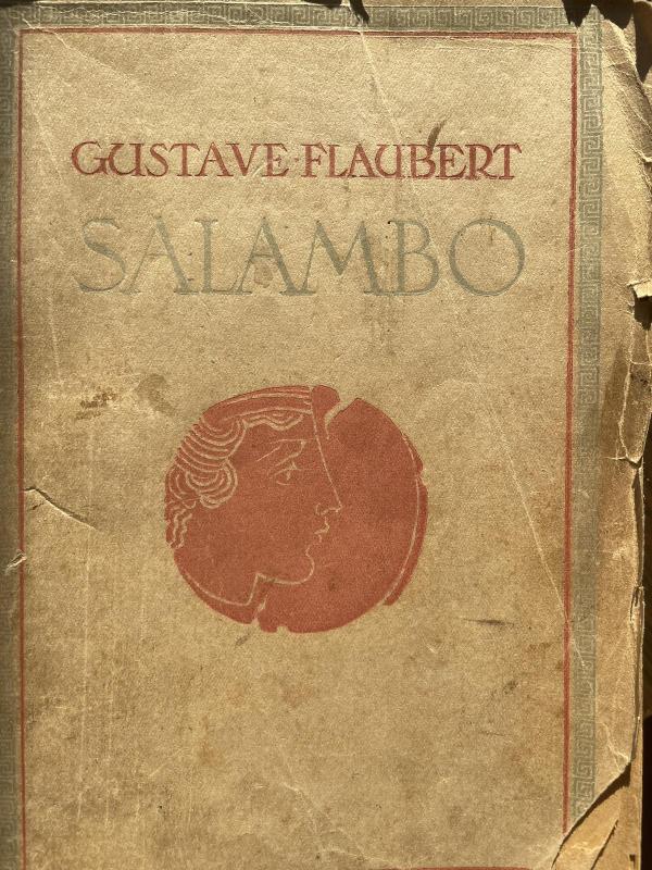 Salambo - Gustave Flaubert, knyga 2