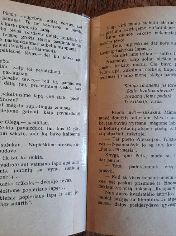 Mes ir mūsų suaugę vaikai - N. Makarova, knyga 5