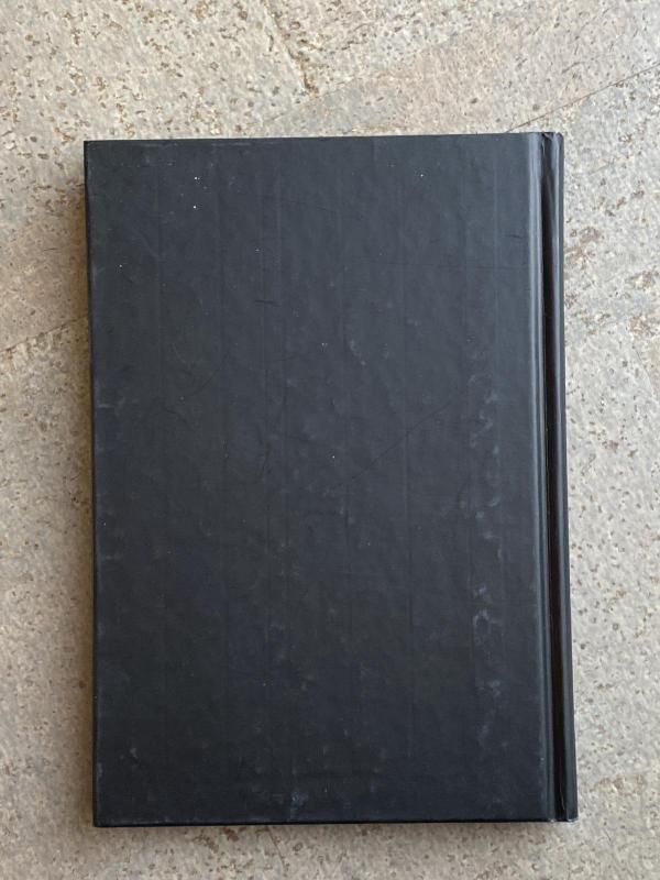 Kritinė grandinė - Eliyahu M. Goldratt, knyga 3