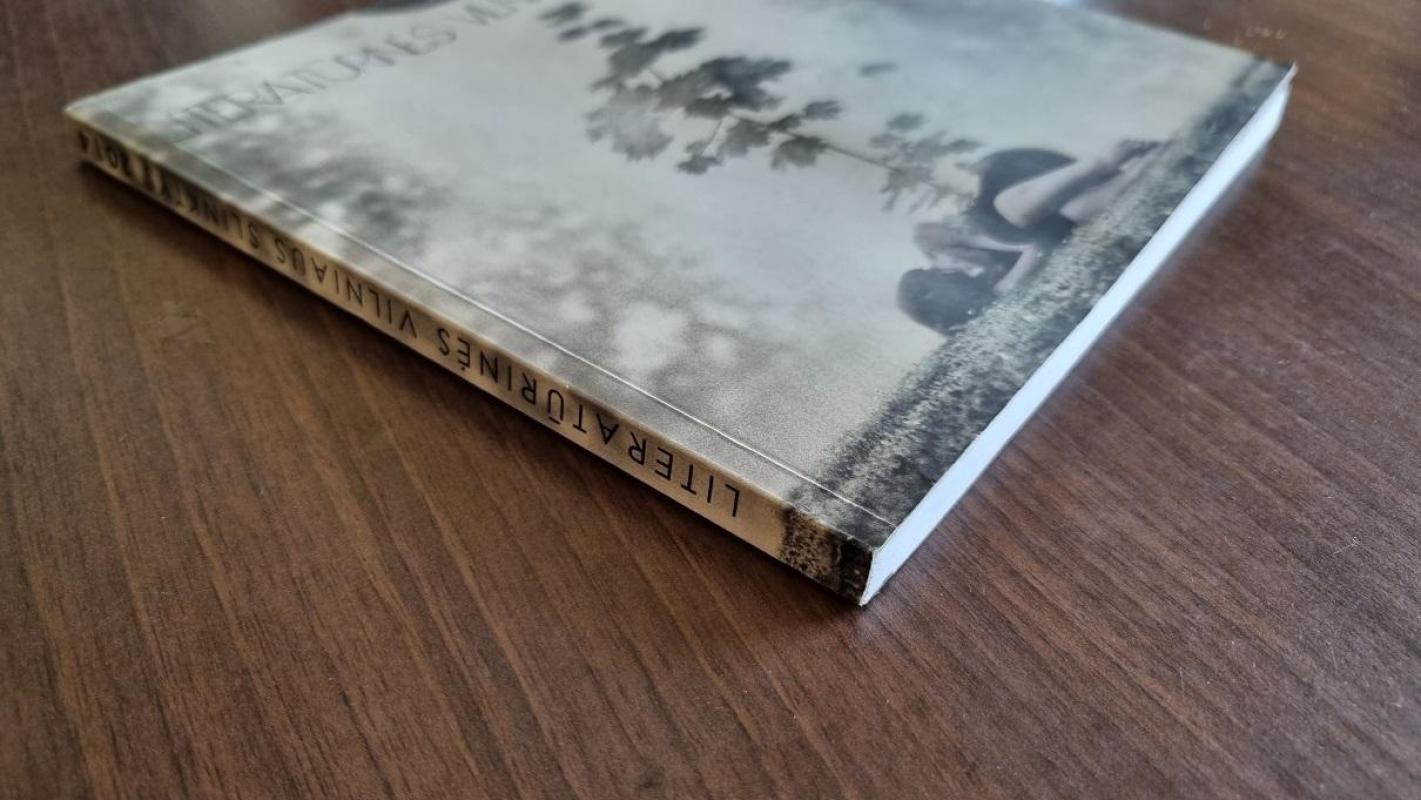 Literatūrinės Vilniaus slinktys 2014 - Autorių Kolektyvas, knyga 4