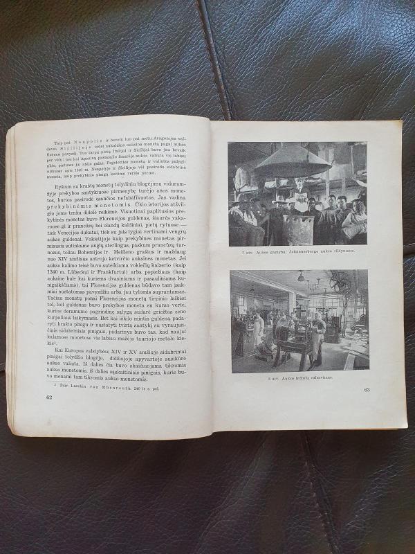 Auksas: geltonojo metalo romantika ir prakeikimas - Ernst Schultze, knyga 6