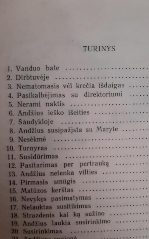 Seniūnas - Aleksandras Bauža, knyga 5