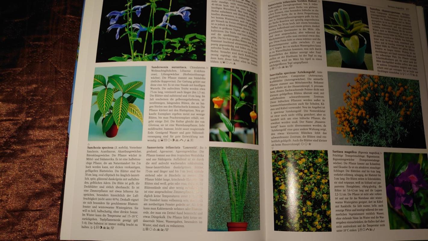 Naminiai ir vazoniniai augalai - Fritz Kohlein, knyga 4