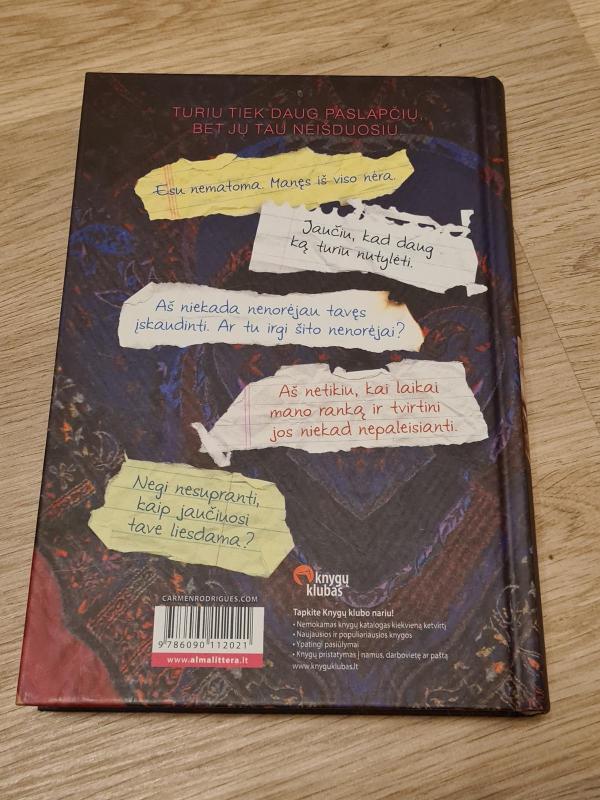 34 tavo dalys - Carmen Rodrigues, knyga 3