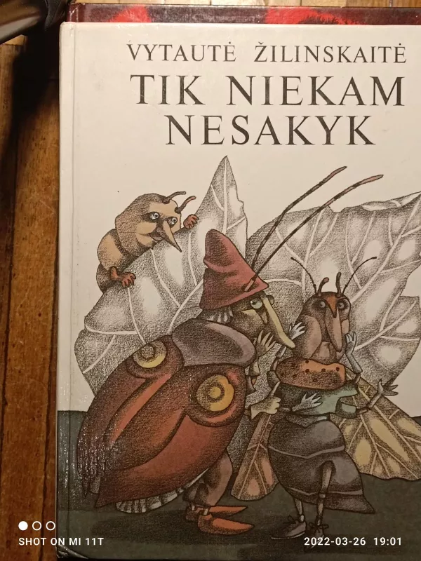 Tik niekam nesakyk - Vytautė Žilinskaitė, knyga