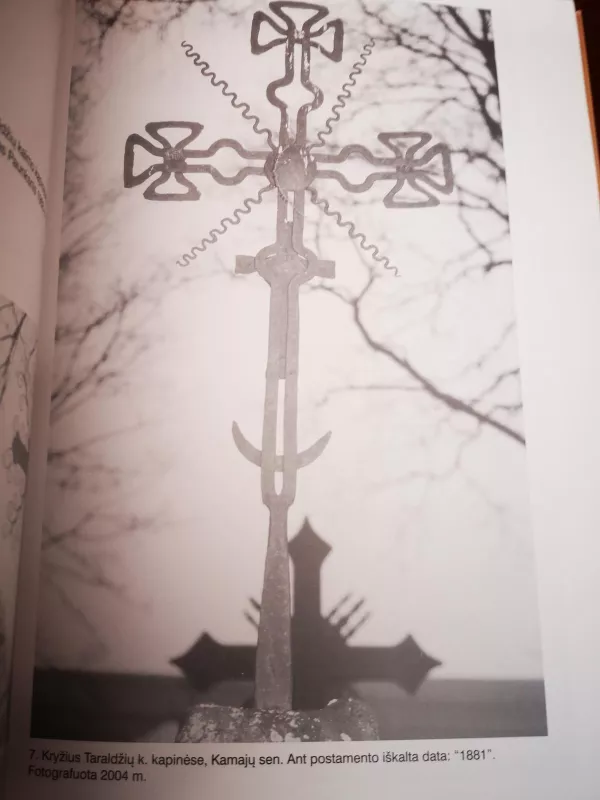 Mažosios architektūros paminklų geležinės viršūnės ir kryžiai - Marijona Mieliauskienė, knyga 4