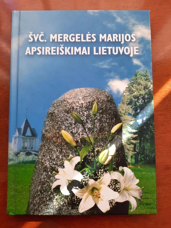 Švč. Mergelės Marijos apsireiškimai Lietuvoje - Audronė Ilgevičienė, knyga 3