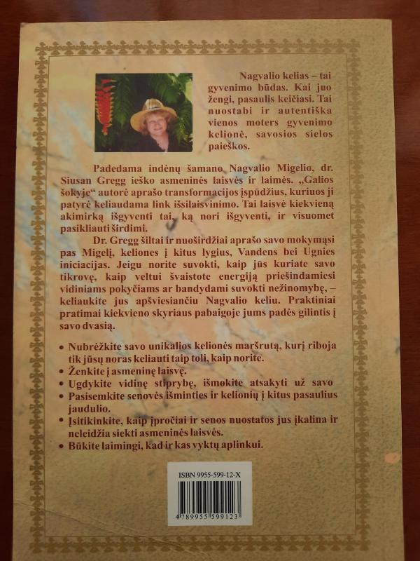 Galios šokis: šamaniška kelionė - Susan Gregg, knyga 4