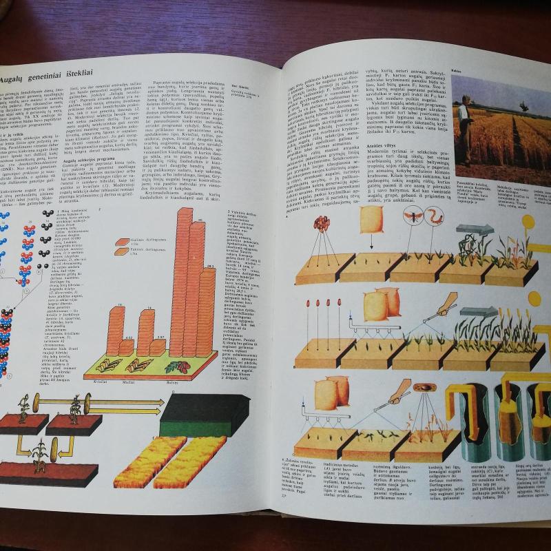Žemė ir jos gėrybės - Autorių Kolektyvas, knyga 3