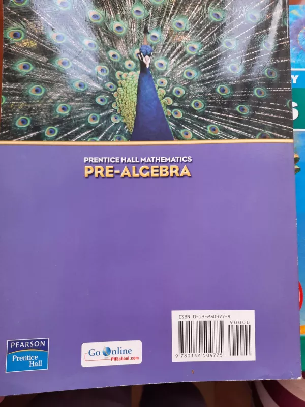 Pre-algebra - BONNIE McNemar, knyga 4