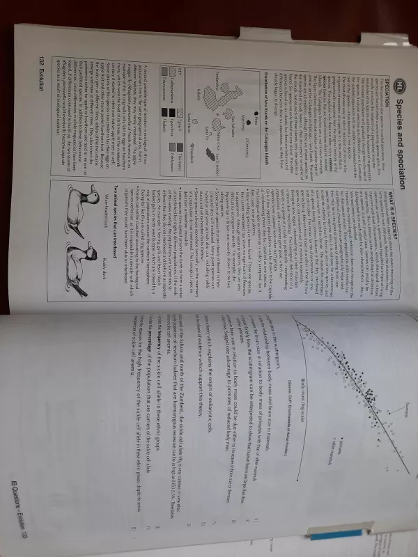 Biology for the IB Diploma - Autorių Kolektyvas, knyga