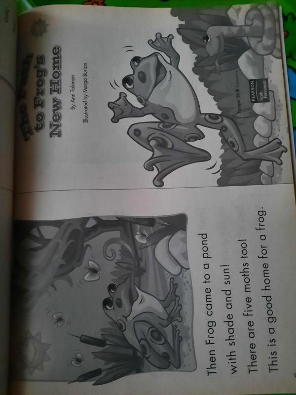 Take home independent leveled readers - Scott Foresman, knyga 2