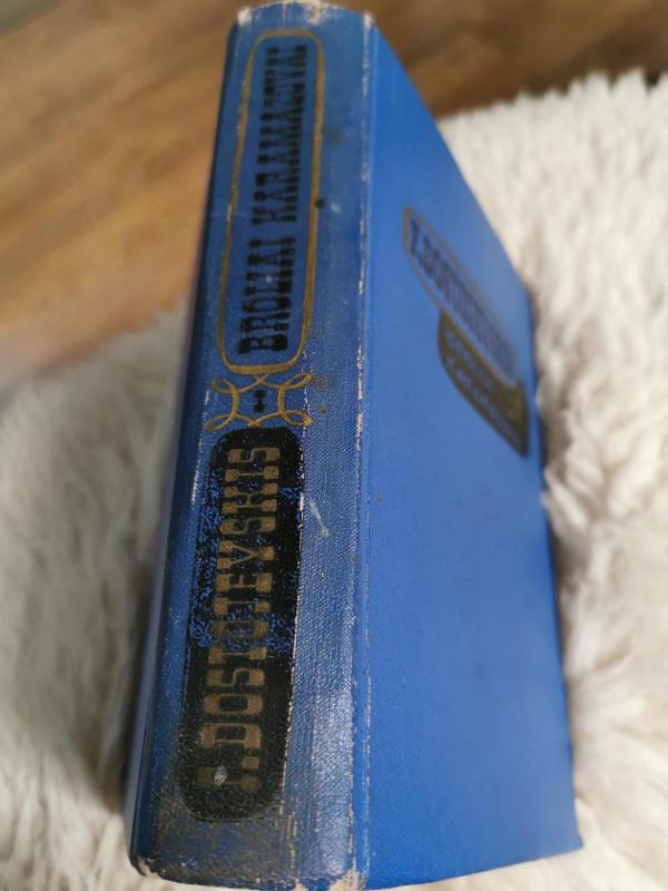 Broliai Karamazovai (I tomas) - Fiodoras Dostojevskis, knyga 3