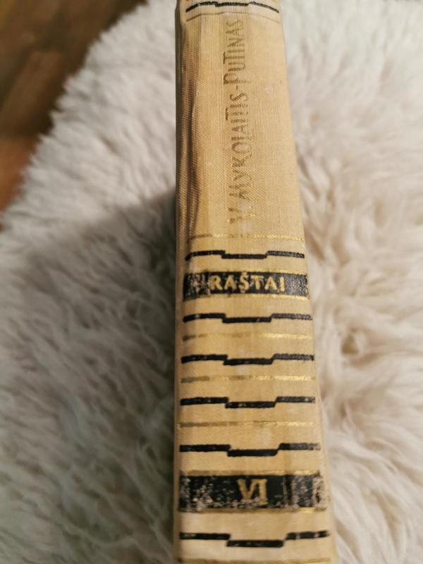 Raštai. (6 tomas) Sukilėliai - Vincas Mykolaitis-Putinas, knyga 3