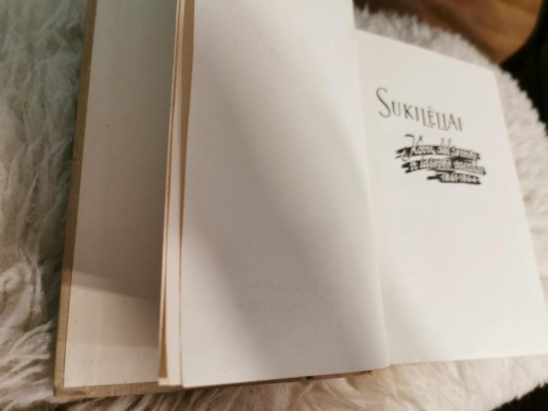 Raštai. (6 tomas) Sukilėliai - Vincas Mykolaitis-Putinas, knyga 4