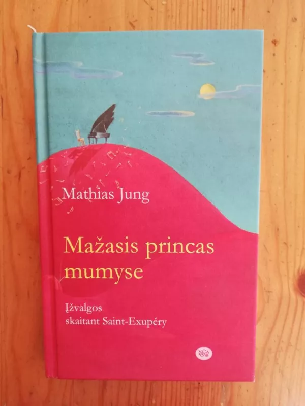 Mažasis princas mumyse - Mathias Jung, knyga