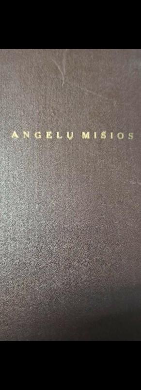 Missa de Angelis. e Graduale Vaticanae editionis deprompta - Autorių Kolektyvas, knyga 2