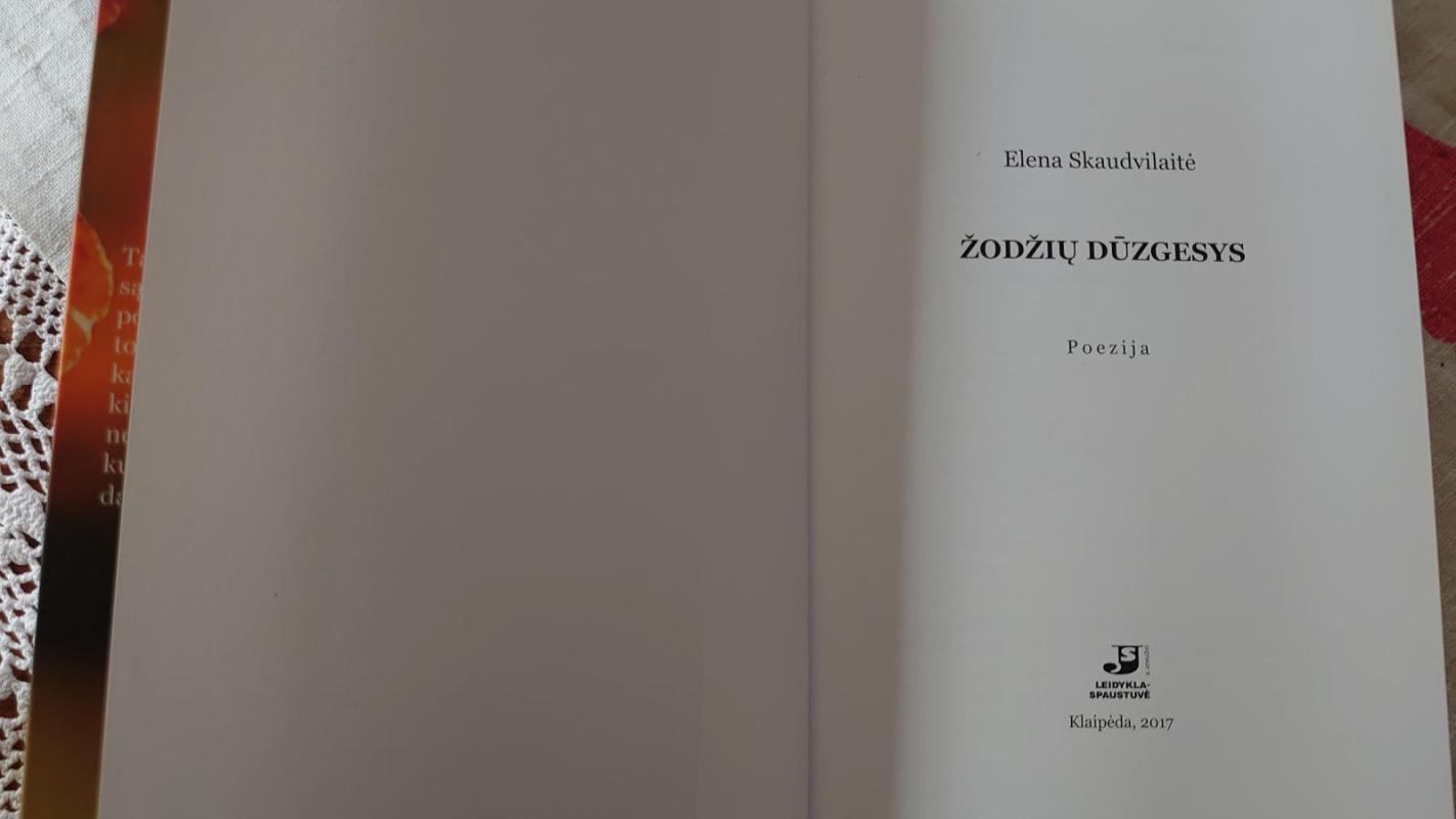 Žodžių dūzgesys - Elena Skaudvilaitė, knyga 4