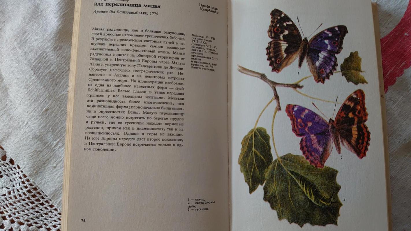 Drugeliai - Joseph Mouxa, knyga 4