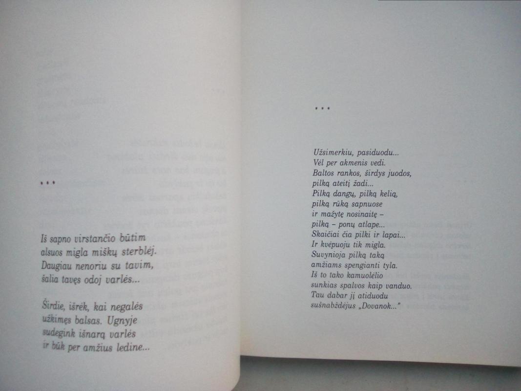 Angele, pametei sparną - Ingrida Liutkevičiūtė, knyga 3