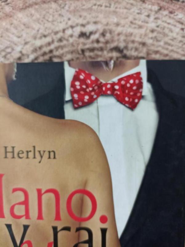 Mano vyrai ir jų žmonos - Herlyn Jolita, knyga 3