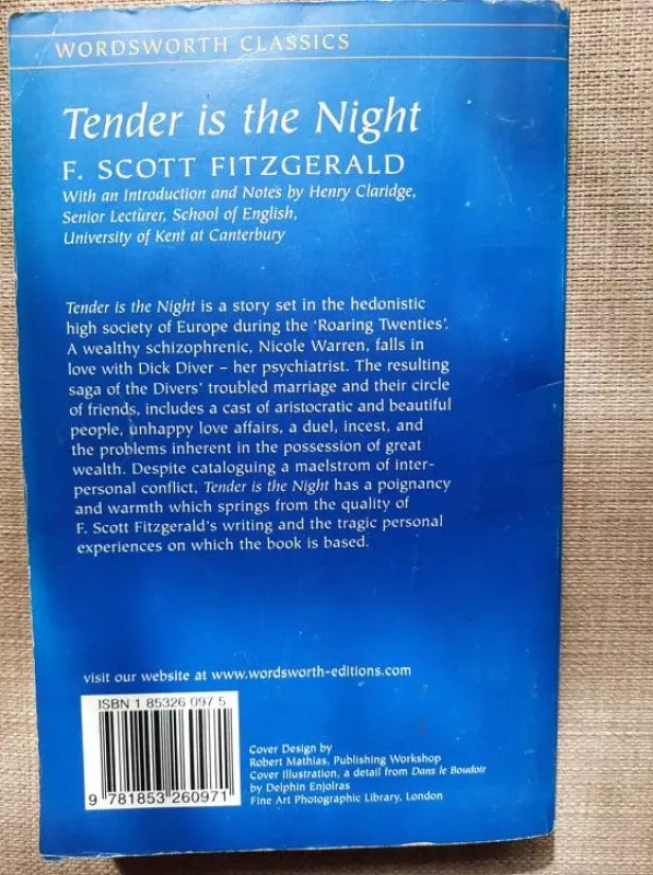 Tender is the Night - Francis Scott Fitzgerald, knyga 3