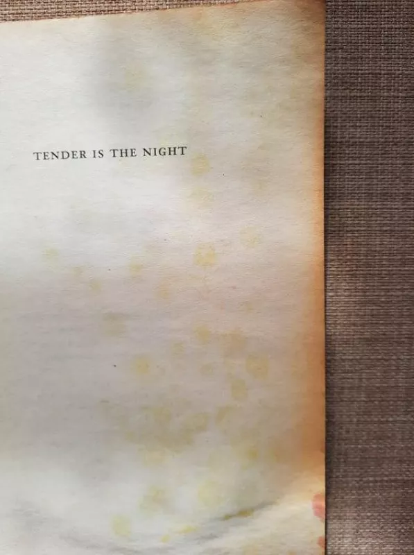 Tender is the Night - Francis Scott Fitzgerald, knyga 4