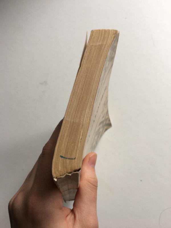 Sužalotieji - Antanas Rūkas, knyga 2