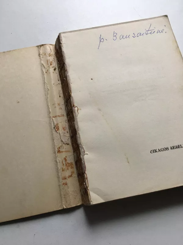 Čikagos šešėliai - Algirdas Margeris, knyga 2