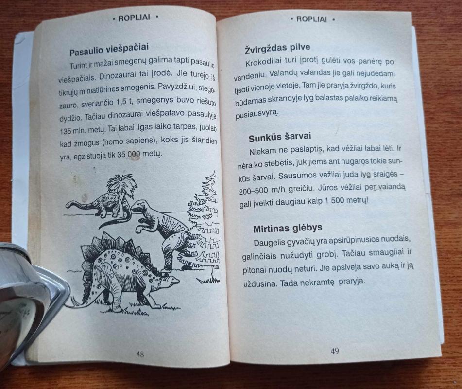 Nejaugi taip būna? - Autorių Kolektyvas, knyga 4