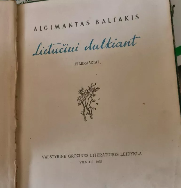 Lietučiui dulkiant - Algimantas Baltakis, knyga