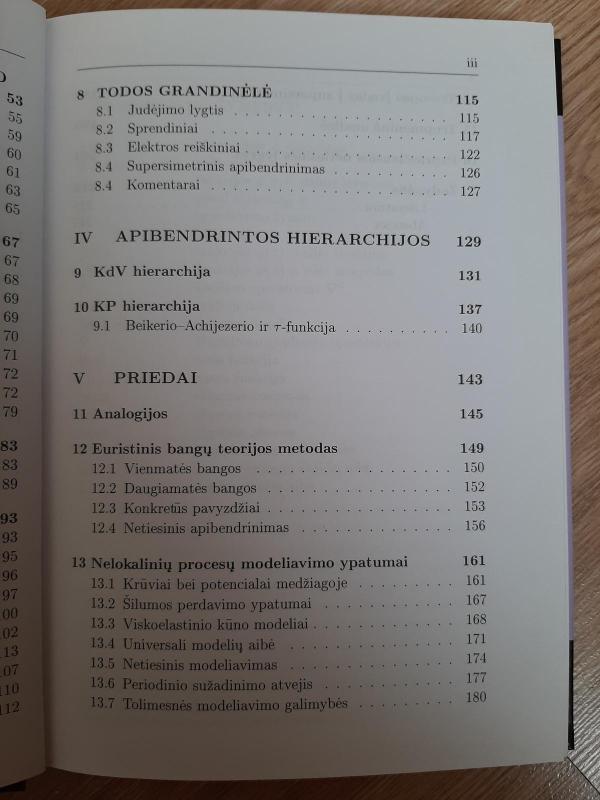 Netiesiniai ir nelokaliniai integruojamieji modeliai - P. Miškinis, knyga 3