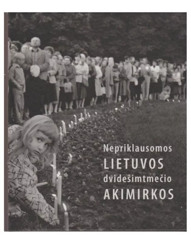 Nepriklausomos Lietuvos dvidešimtmečio akimirkos - Renata Žemaitytė, knyga