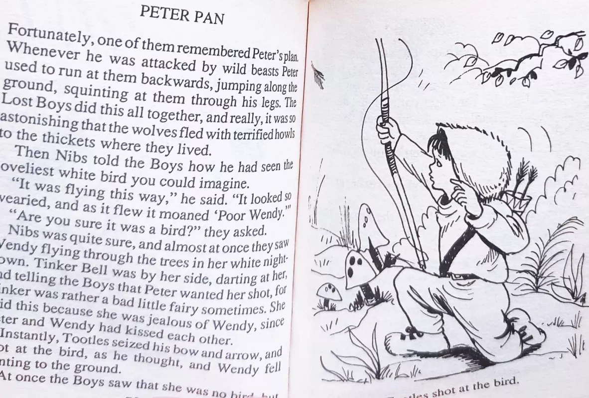 Peter Pan - James Matthew Barrie, knyga 4