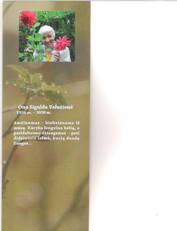 Rudens skonis - Ona Sigulda Valužienė, knyga 3