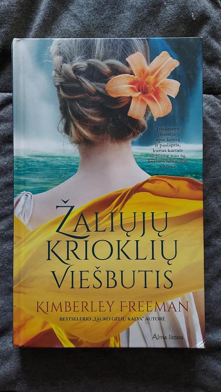 Žaliųjų krioklių viešbutis - Kimberley Freeman, knyga 3