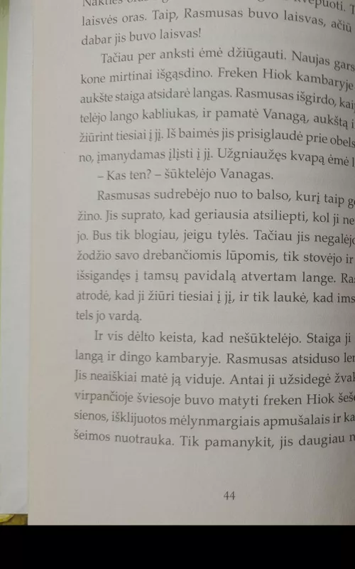 Rasmusas klajūnas - Astrid Lindgren, knyga