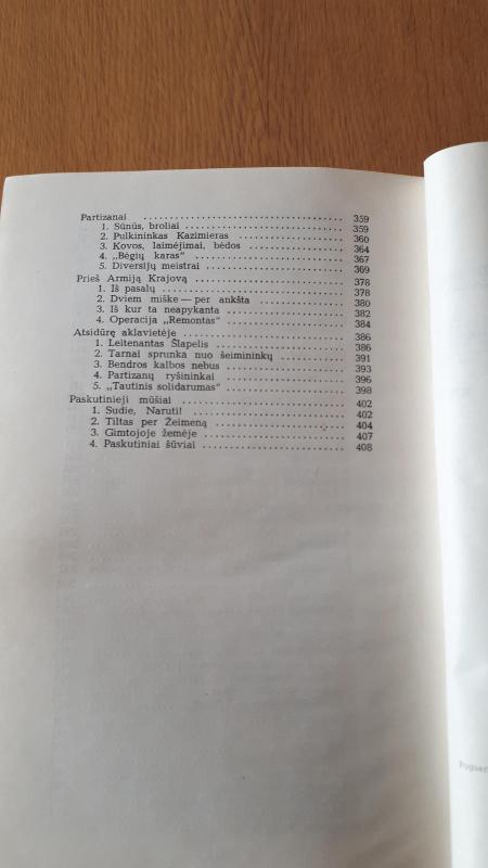 Kova be atvangos - Jonas Vildžiūnas, knyga 2