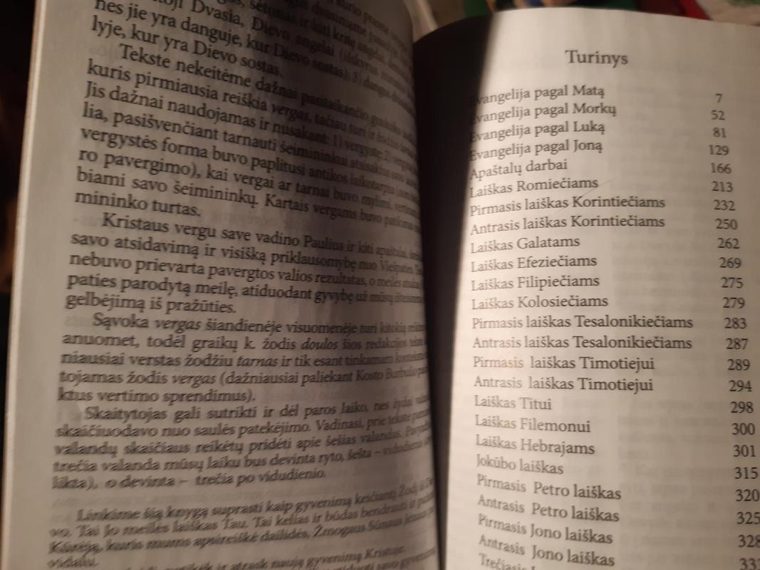 Naujasis testamentas  2022m - Autorių Kolektyvas, knyga 2